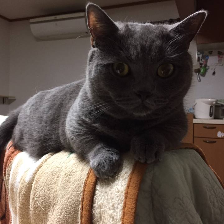 E0cb02aa 8bc5 4e76 8ce6 49d0a78974b3