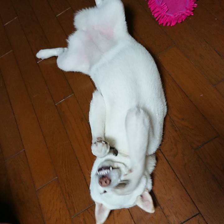 E0cc87a3 4294 4c77 bc8f 20bf1bd0a7b0