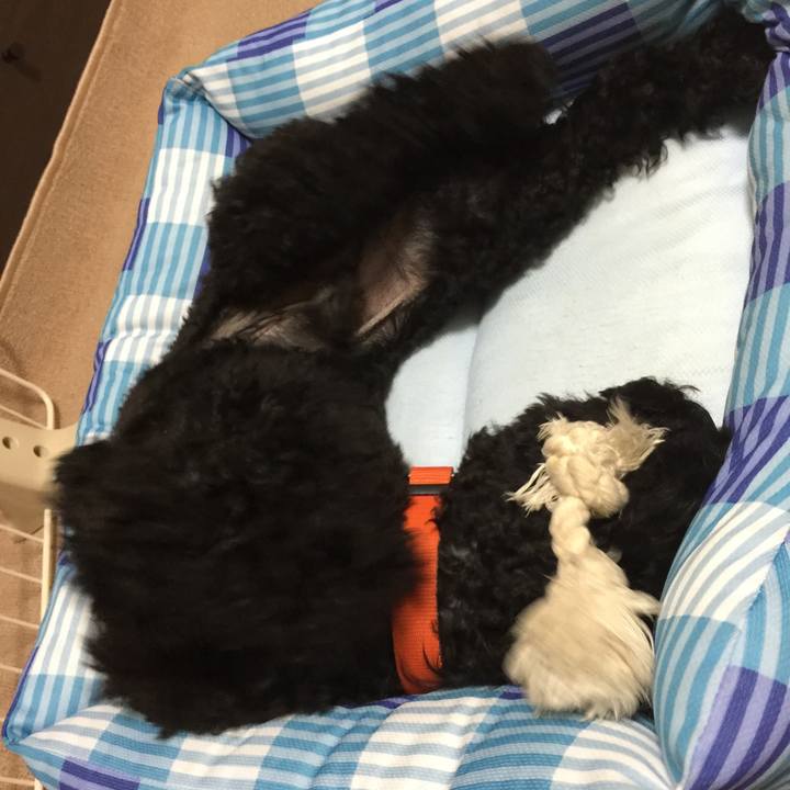 E0cd522b 2445 4cf9 b0ae b886ac02d4c0