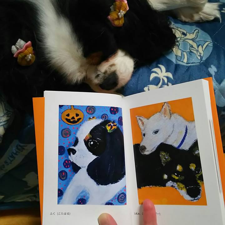 E0ceda39 42a6 4dbd 94e3 3c370d9c9756