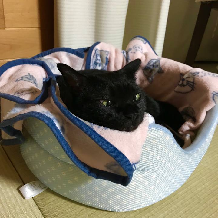 E0cf036b 5acd 4790 b986 300cf46de3b5