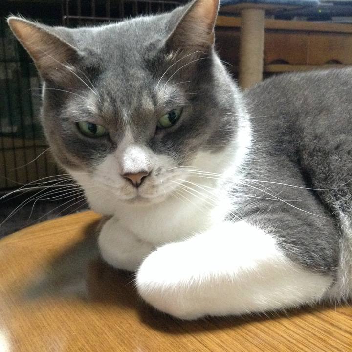 E0cf693c 44cc 4dbd 80a5 51a3650430c6