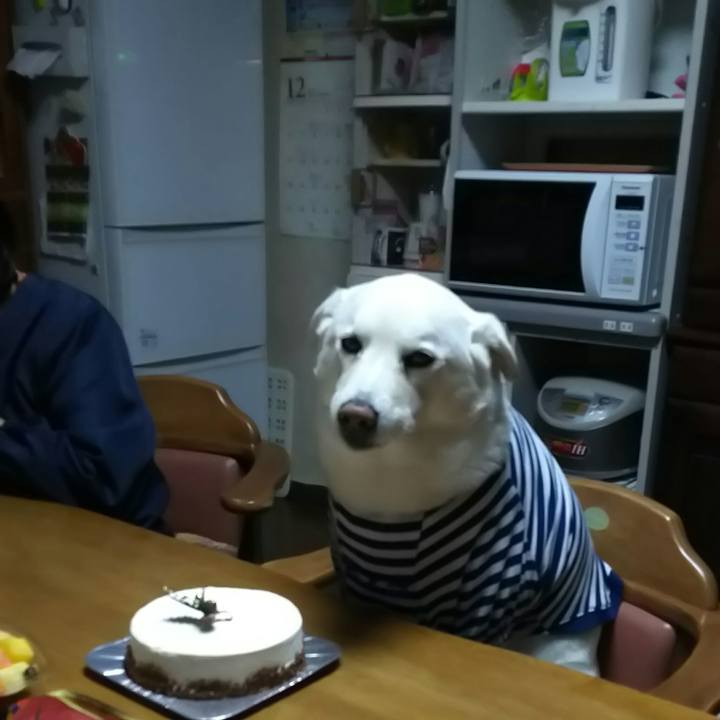 E0cf9414 8e5c 4dd9 907b 8f07e772ad1f