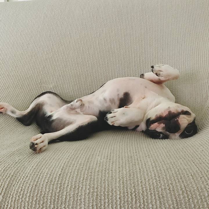 E0cfbb3c c866 419d b1b7 3f12aa12d877