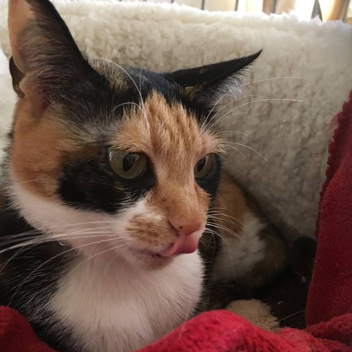 E0d11bce 1bbc 4628 83b6 46d66125e284