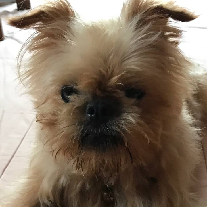 E0d1a007 917e 4e8d 96a3 a4c3a23f6055