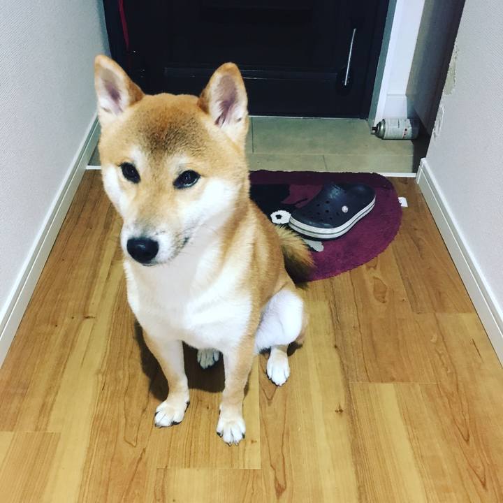 E0d21af8 907f 4037 8a6f 394c5cb86dda