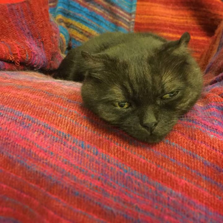 E0d25178 98a7 41d4 8ed2 434cd8ac593f