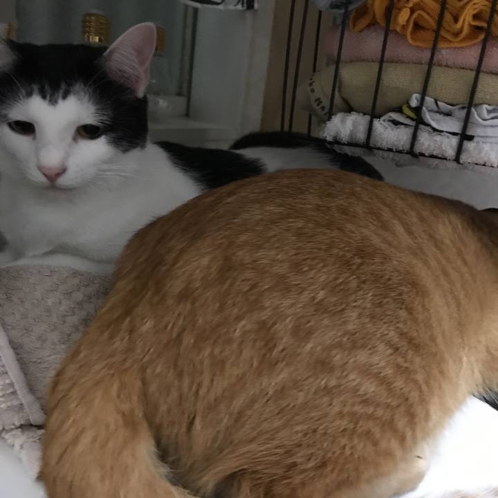 E0d27a3c 9009 4f03 bc25 896a986a611a