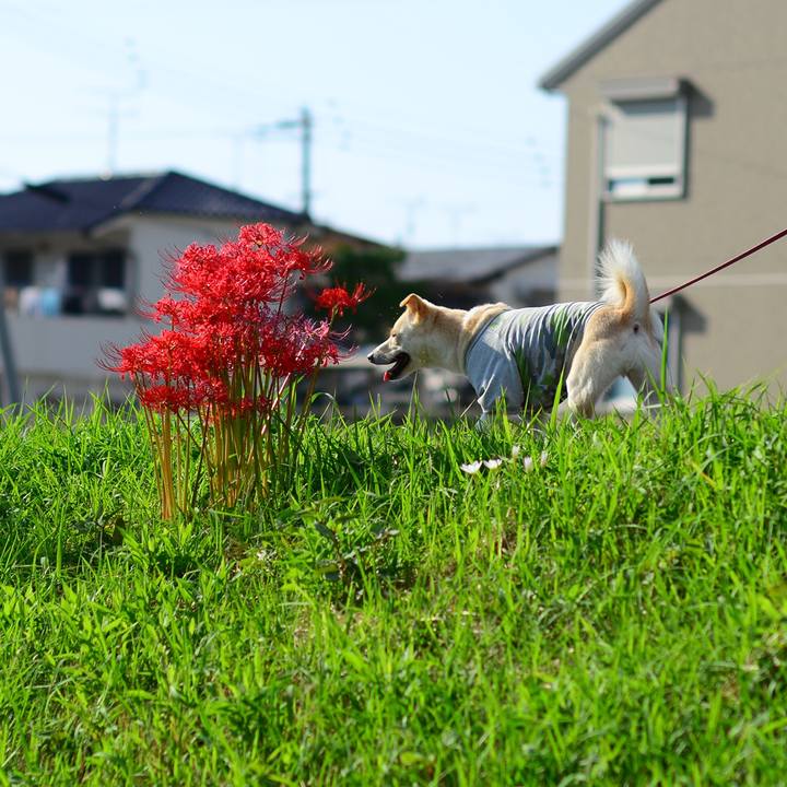 E0d4469f 72d2 4cf9 a40e c6e77f1ec4a2