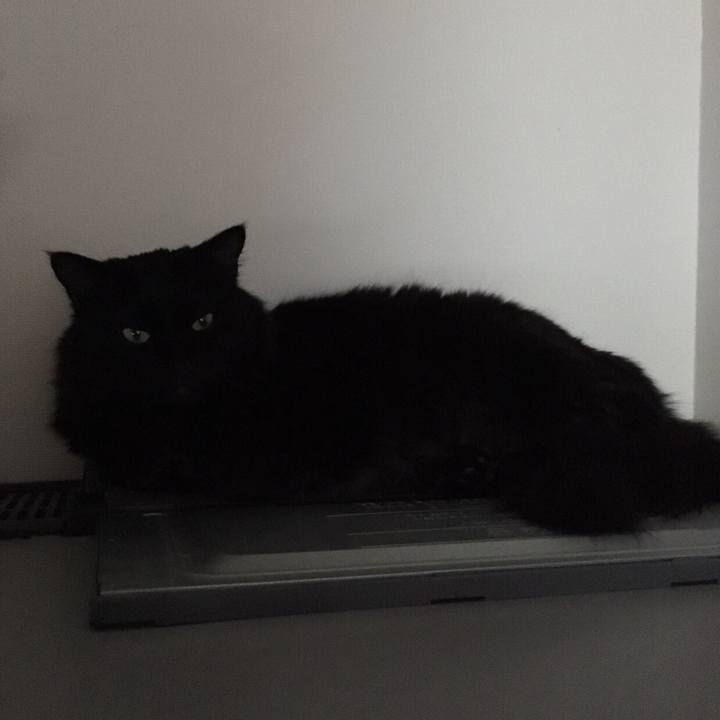 E0d4cd32 8c87 4867 86eb baf48ac70c6c