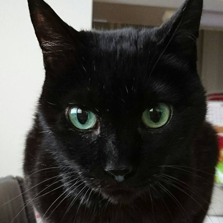 E0d4e135 aac3 4135 8618 f00b349560c9