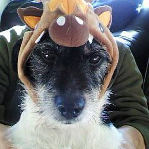 E0d5d185 8b1d 428b 82b0 28d6ecdcf9bf