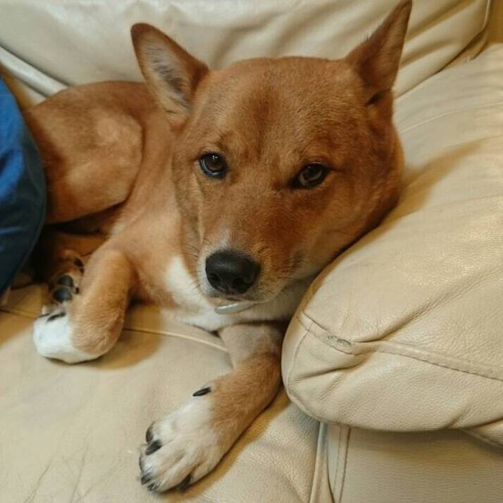 E0d67289 309c 4810 aaca efc596fbf074