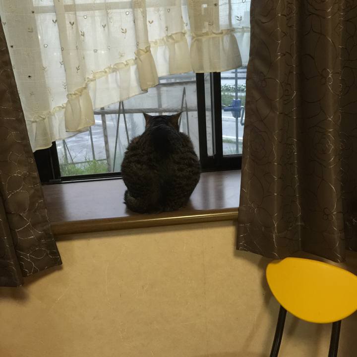 E0d728c1 09df 4695 8d63 572e36eec36a