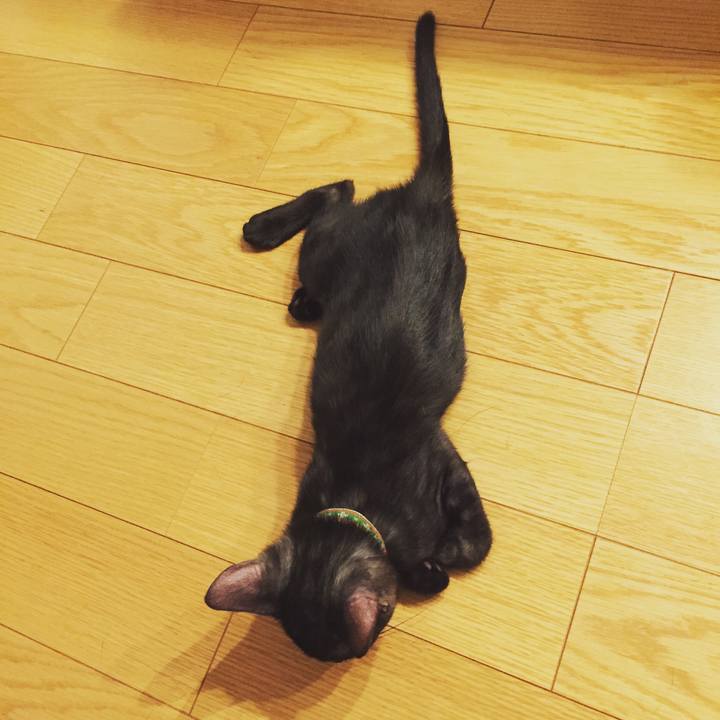 E0d79e0f eb12 4d22 85ad 7a6e4b00407d