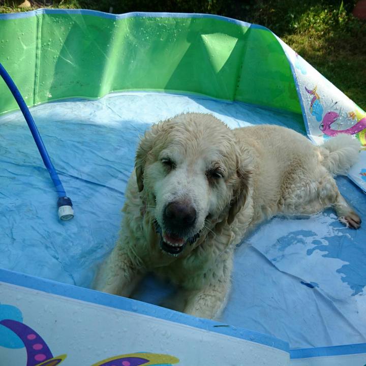 E0d7cc33 3cfb 4e5b 9ec2 67eeb628de48