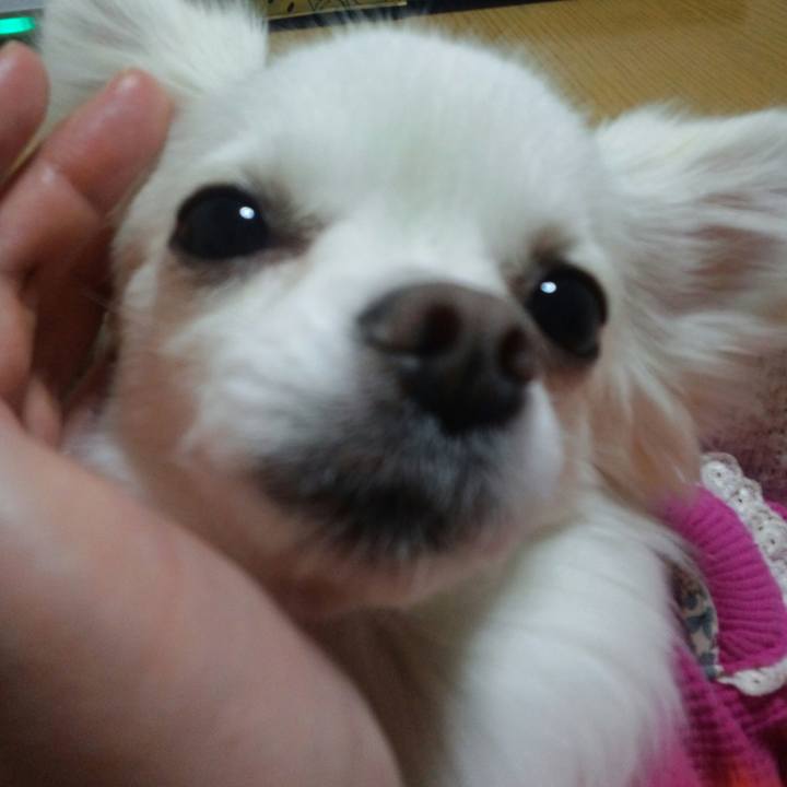 E0d7d049 5acd 4cf3 bb66 353d29618c42