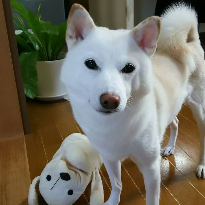 E0d89c16 9763 4961 be4c 316ddb5babf1