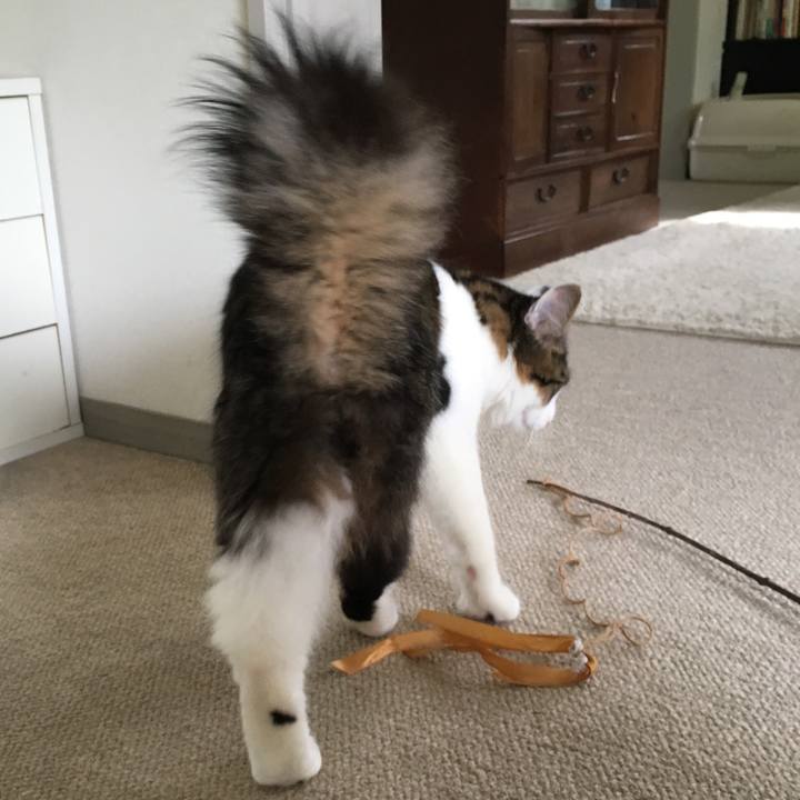 E0d91e54 3aa1 4d5a b83c 8c9eec48f10b