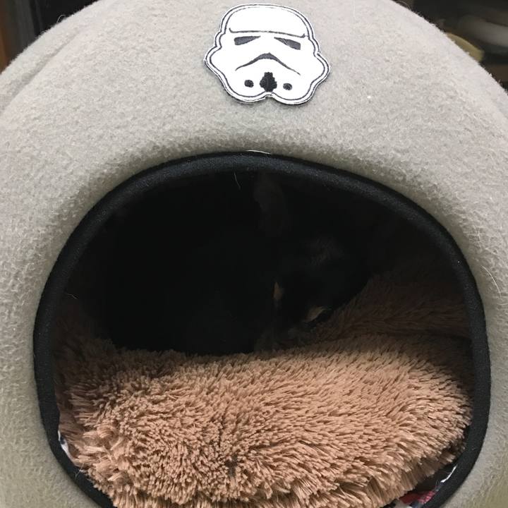 E0d922e5 7c33 4876 9b20 1ae6bebbb642