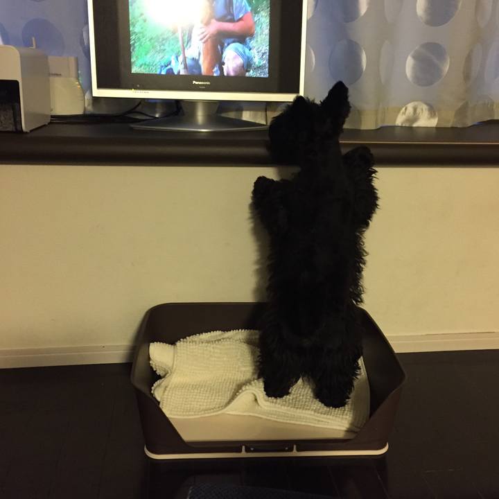 E0d97437 3b9c 4f5c 9bf0 76da66789dd5