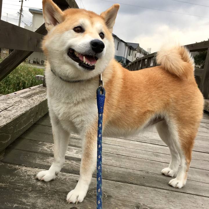 E0d987a2 9dc0 4929 8fb8 7f53e49cd986