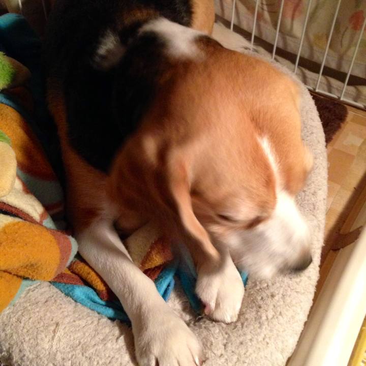 E0d9ba39 c7ba 4915 92f4 de182981c524