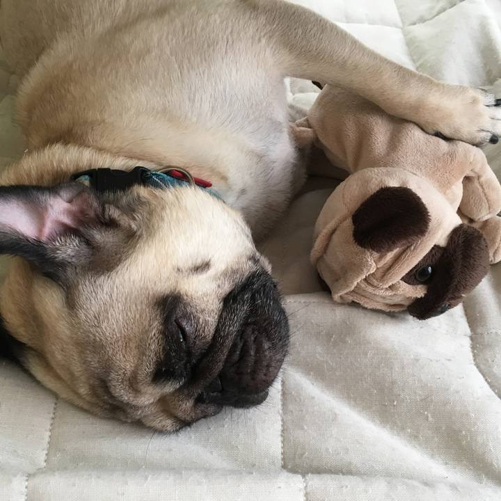 E0d9e98b ca11 4a6f aeba b24011b8b615