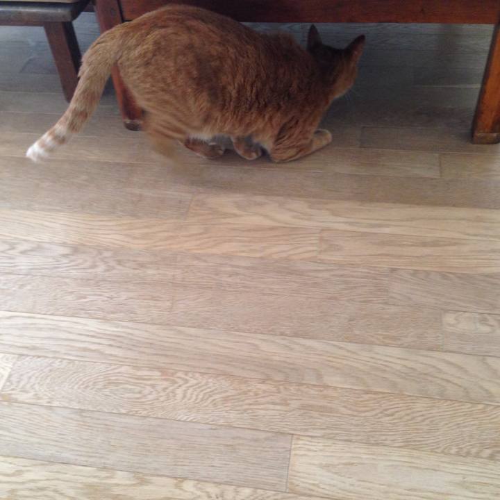 E0da02b3 1265 407e b667 c6fd2cc055b6