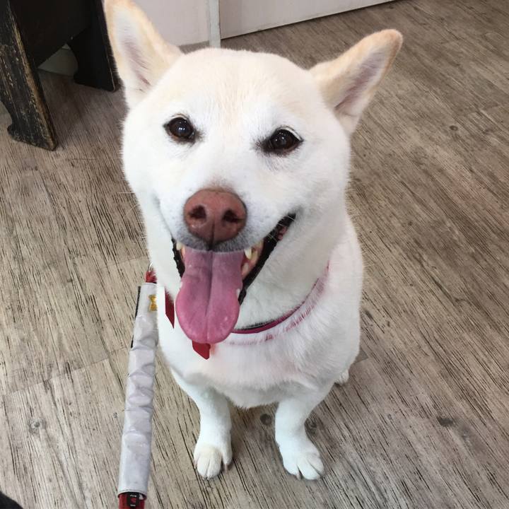 E0da0bcc 13bd 485a a084 05980b8494e0