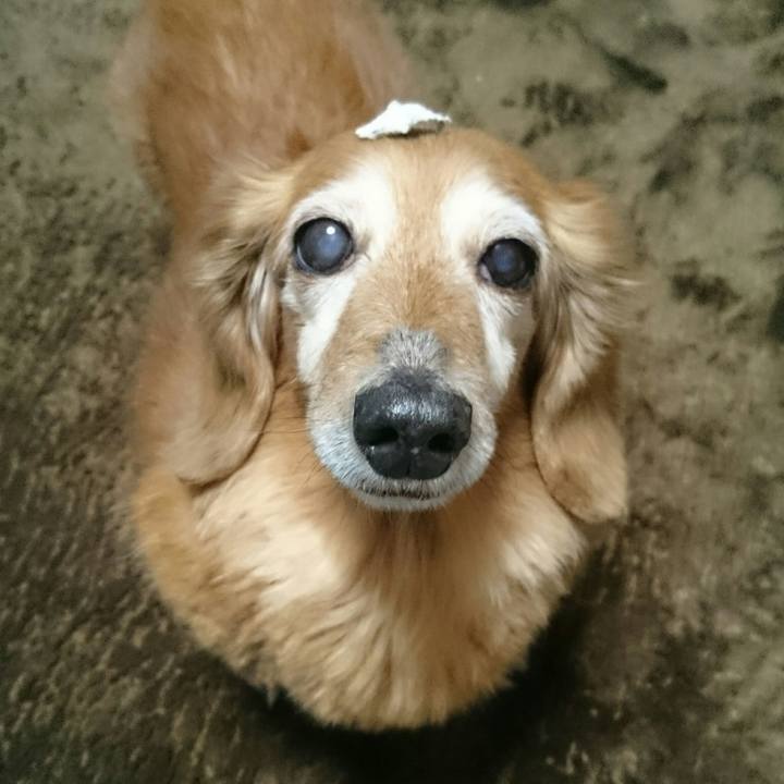 E0dbed70 1bf6 4ae2 bc11 7d67cb5fe7f7