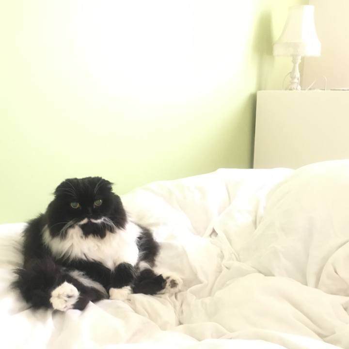 E0dd2558 9d31 43e0 a281 0b29a1d2b134