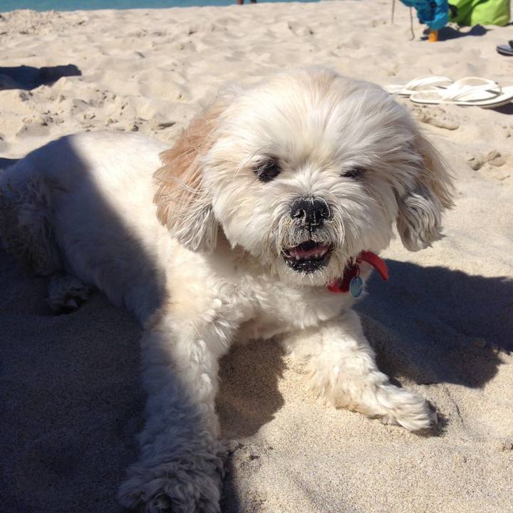 E0dd741e 0daf 4762 bdb2 fc1685bcc038