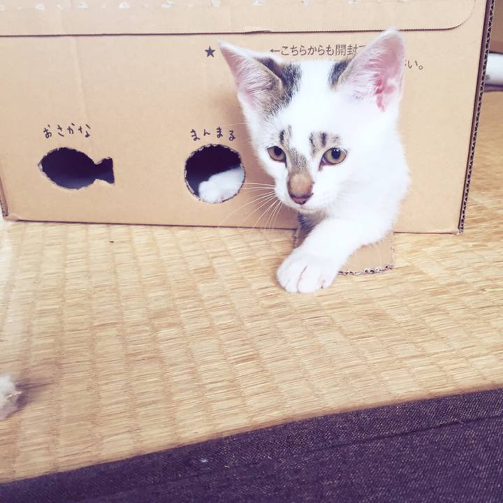 E0dde4cd d887 4806 95e1 833dac303d7e