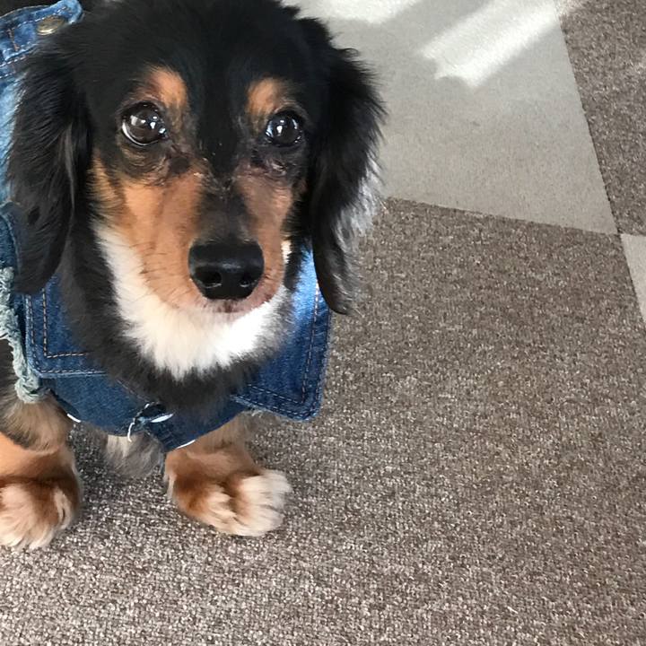 E0de252d 90c2 453e ad80 1d187c93ccef