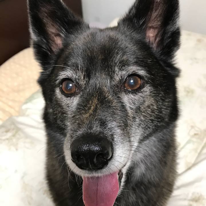 E0de3bc2 5c2b 48d4 b2b2 fec63eb1c4bf