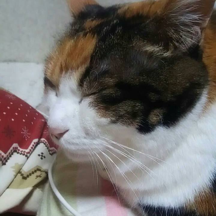 E0deb3f2 d854 4f79 9204 7fcbb5965989