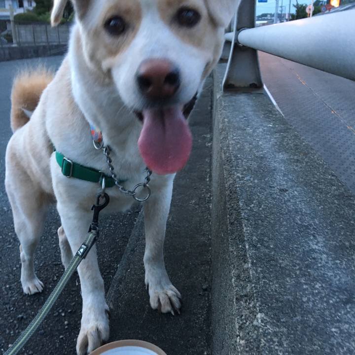 E0debfbe 0e9e 403c 82c6 06296507514b