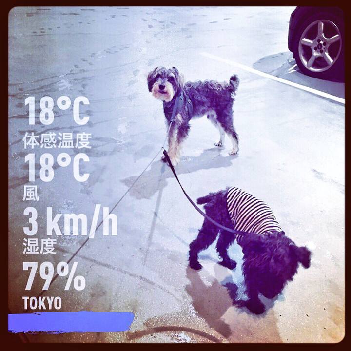 E0dfcfbb 629b 4f95 9f83 460b4d9d0a56