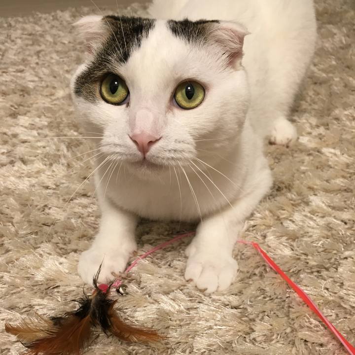 E0e038f3 51f1 462d b437 9623815f44f9