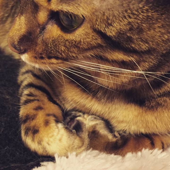 E0e1aa4e bb4f 4e00 87a8 8d3a75997e6f