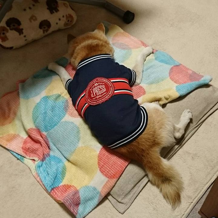 E0e2915f ef1c 4812 97f4 9a5b1ccf7f3c