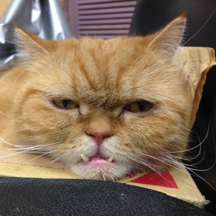 E0e2b71f 13a3 4e21 af74 d082e129f4dc