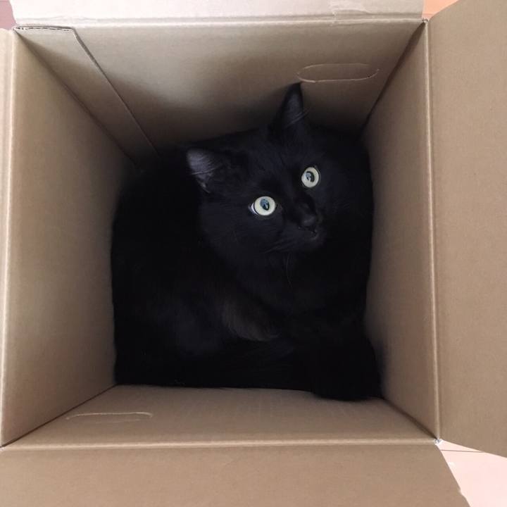 E0e2fab8 5baa 44b9 9aef 1dd33c8e4909