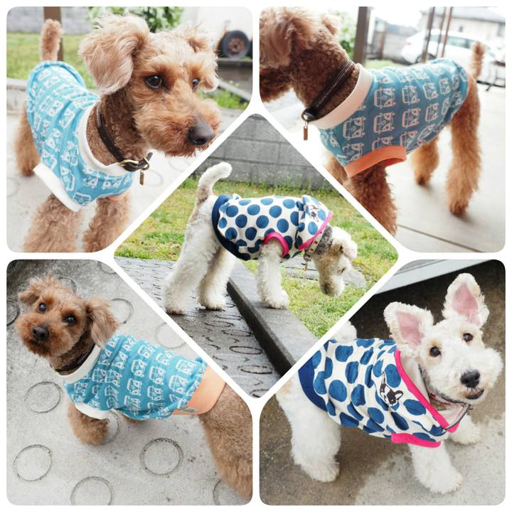 E0e33d26 8946 484e a56b 9ca3523f794b