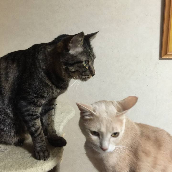 E0e3ded9 9086 4152 95df bb79c997b8c1