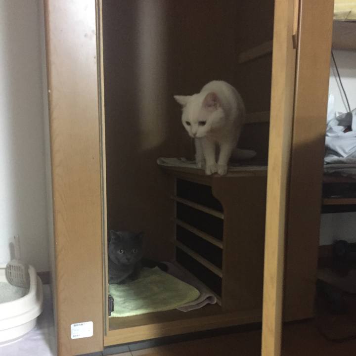 E0e3fadc 8f2d 4aa8 b24a 29d9201f7033