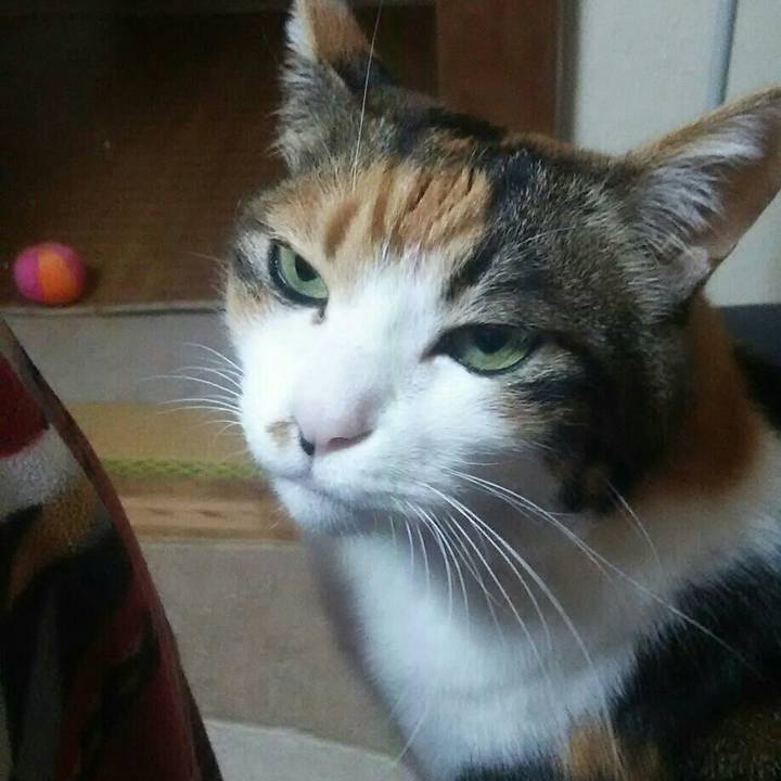 E0e560af 8d92 4422 9719 a360df1e9a36