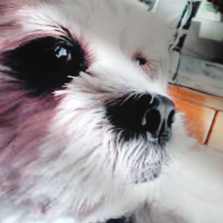 E0e5e7e6 72fd 401a ac09 0bf27421769d